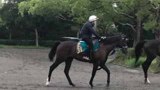 【新潟2歳S】タイムマシン 前走でガラリ一変！引き続き好調