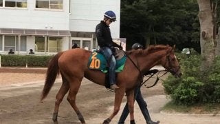 【新潟2歳S】モーベット 関東のエース格