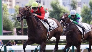 【新馬/札幌5R】キングヘイロー産駒 コスモカルナックがデビューV！