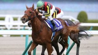 ２歳女王の妹ルリエーヴル。牧場スタッフは「注文なし」と期待はでかい