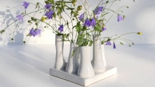 健康の味方♥️スーパーフードとは