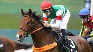 新潟記念は高配当が多発。夏最後の大花火はディープ産駒で打ち上げだ