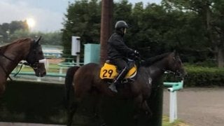 【新潟記念】アクート 得意の新潟なら重賞でも上位