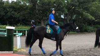 【注目新馬】ペルラネーラ 良血ディープ産駒が始動