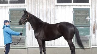 アドマイヤチャチャは「最強の１勝馬」の妹。「切れとオーラがある」