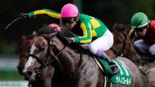 【札幌2歳S】ルメール「蹄鉄がズレていました」レース後ジョッキーコメント