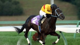 【盛岡・ビギナーズC】レース結果と関係者コメント