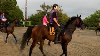 【紫苑S】レッドベルディエス 名手ルメールが騎乗で秋華賞の切符を狙う！