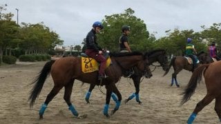 【京成杯AH】ロードクエストが実績のある舞台で復活を狙う