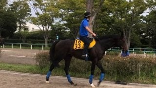 【京成杯AH】プロディカルサン 三浦と新コンビで惜敗脱出を狙う！