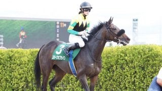 【紫苑S】菜七子「リズムを大事に…」スパークオブライフは9着