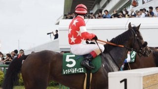 【紫苑S】ルメール「スタートで後手に…」レッドベルディエスは後方から伸びるも4着まで