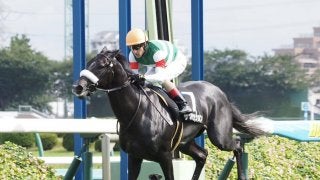 【アスター賞】サクセッションが圧倒的人気に応えてデビュー2連勝！