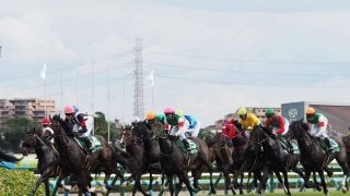 【紫苑S】津村「ハミを噛んだ」レース後ジョッキーコメント