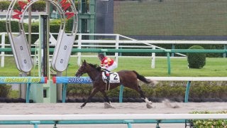 【新馬/中山3R】イモータルスモークが楽々逃げ切ってデビューV！