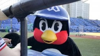 つば九郎「みなさん、あんぜんだいいちです」　巨人戦は台風接近のため中止