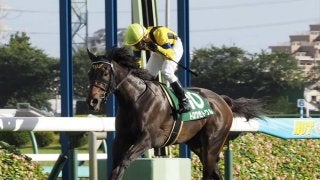 【京成杯AH】トロワゼトワルの大逃げ炸裂！横山典の見事騎乗