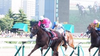 サクラアンプルール号が競走馬登録抹消