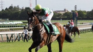 【京成杯AH】松山「一杯一杯」グルーヴィットは1番人気に支持されるも11着