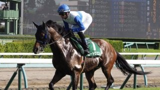 【京成杯AH】Mデムーロ「あぶみが外れた」レース後ジョッキーコメント