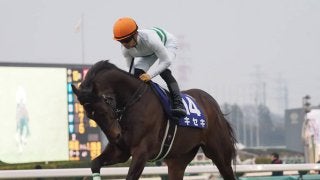 2019凱旋門賞（G1）フランス遠征馬の近況（9月11日）