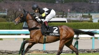 ローズＳはディープインパクト産駒に注目。人気薄馬でも成績はいいぞ