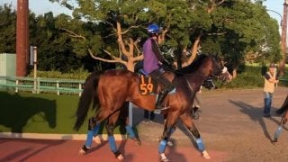 【セントライト記念】サトノラディウス  国枝師「将来性高い」