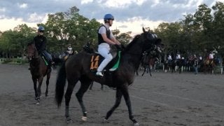 【セントライト記念】ルヴォルグ  ルメールを配して勝負