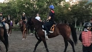 【セントライト記念】オセアグレイト 未勝利から3連勝で勢い十分！