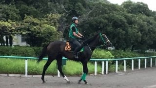 【ローズS】シャドウディーヴァ 斎藤誠師「あまり時計が速くなるとどうか」