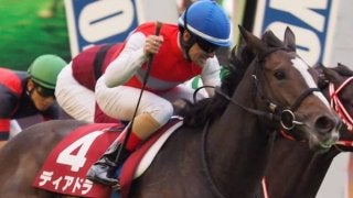 2019アイリッシュチャンピオンステークス（G1）出馬表が確定