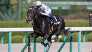 【野路菊S】単勝1.1倍 武豊マイラプソディが5馬身差圧勝！