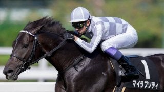 【野路菊S】武豊「来年が楽しみ」マイラプソディがクラシック候補に