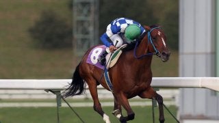 【盛岡・はまぎく賞】転入初戦フィーユブランシェが快勝！