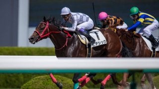 【阪神6R】武豊ピアシックが全馬直線ごぼう抜きの差し切り！