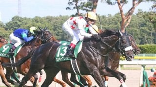 ミッキーグローリー号が競走馬登録抹消