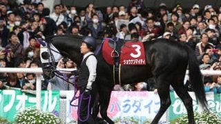 重賞馬の兄を持つレッドラルジュ。北村宏司騎手も「なかなかいい」