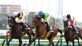 【白井特別】サトノダムゼルがデビューから3戦3勝