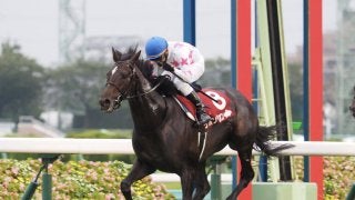 【セントライト記念】リオンリオンが先行抜け出しで快勝！横山典騎手が勝利に導く