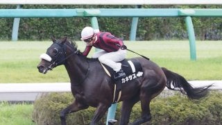 【Ｍエルコンドルパサー】アカネサスが3勝目！人気に応える