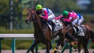 【阪神3R】武豊トウカイデュエルがゴール寸前の差し切り！