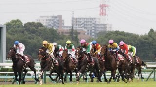 【セントライト記念】ルメール「ラストは疲れた」レース後ジョッキーコメント