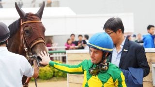【白井特別】Mデムーロ「凄い馬」サトノダムゼルが3戦3勝を決める