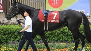 オールカマーは過去の激走条件を満たす３頭が、人気３頭をビビらせる