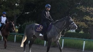 【オールカマー】ウインブライト 大得意の中山で主役