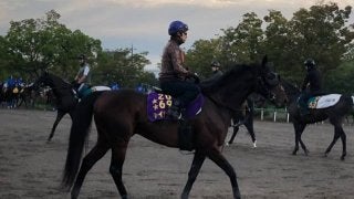 【オールカマー】レイデオロ 新パートナー福永で復活を期す