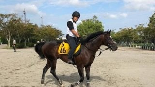 【オールカマー】クレッシェンドラヴ G2でも侮れない