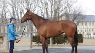 「従順で素直」なレッドルレーヴ。繁栄の一族から新たなスター誕生か