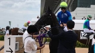 土曜中山３Ｒ新馬は戸崎圭騎乗のロンゴノットが９馬身差の圧勝