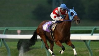 【盛岡・ヴィーナススプリント】ペキノワが３馬身差で完勝！1番人気ツララを競り落とし転入初戦を白星発進